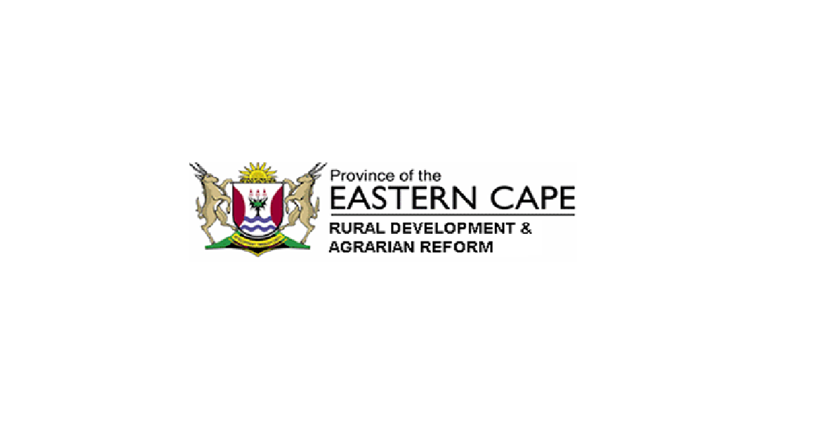Join Eastern Cape Health: Cleaner Vacancies (X7 Posts) | Apply by September 1st, 2023