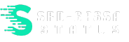 srd-sassa-status