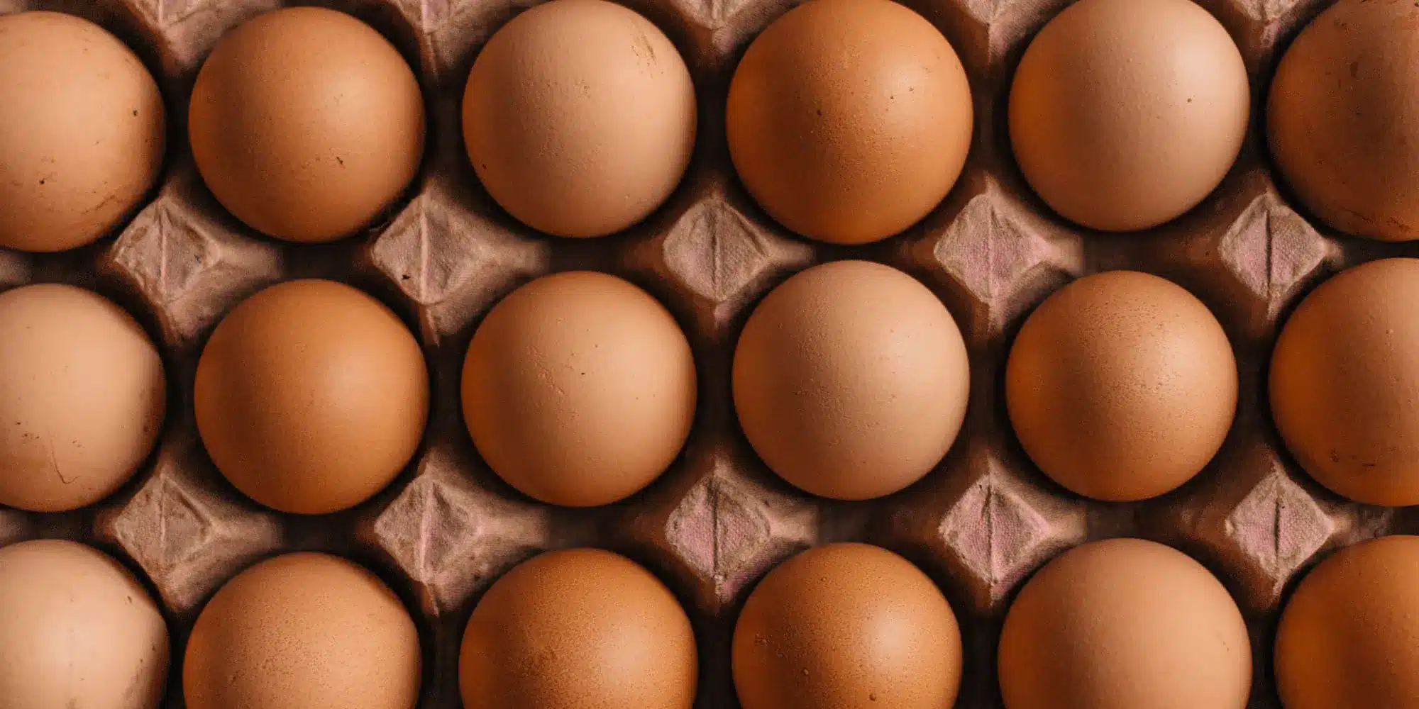 Supermarket retailers start rationing eggs due to avian flu outbreak